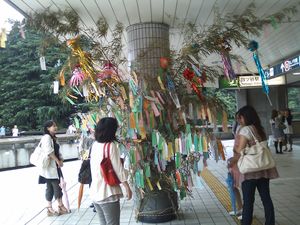 Tanabata1